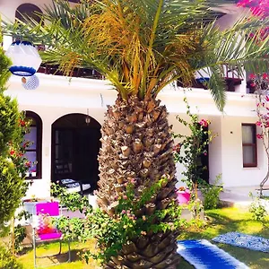 Kiraz Cicegi Butik Akyaka (Mugla)